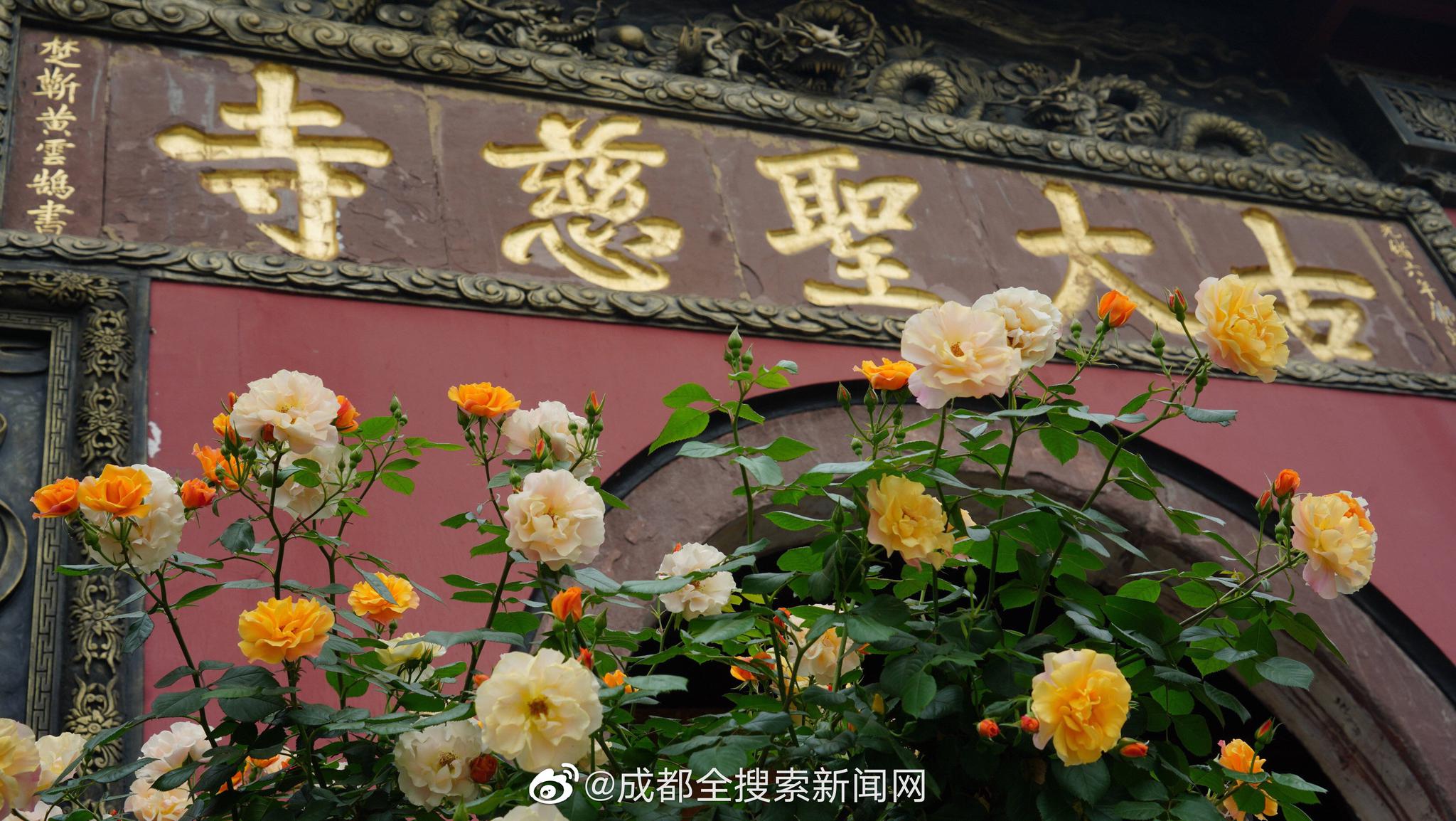 最远的边陲怎么提高房子吸引力