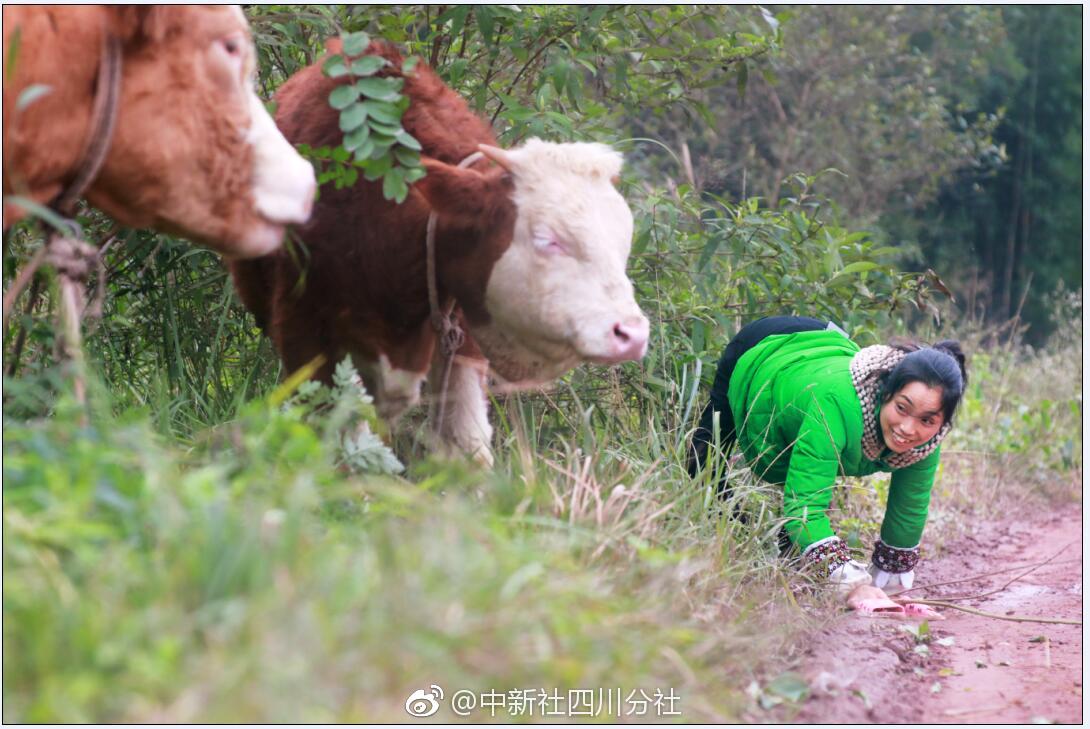 国王的恩赐2战士和雇佣兵天赋怎么选